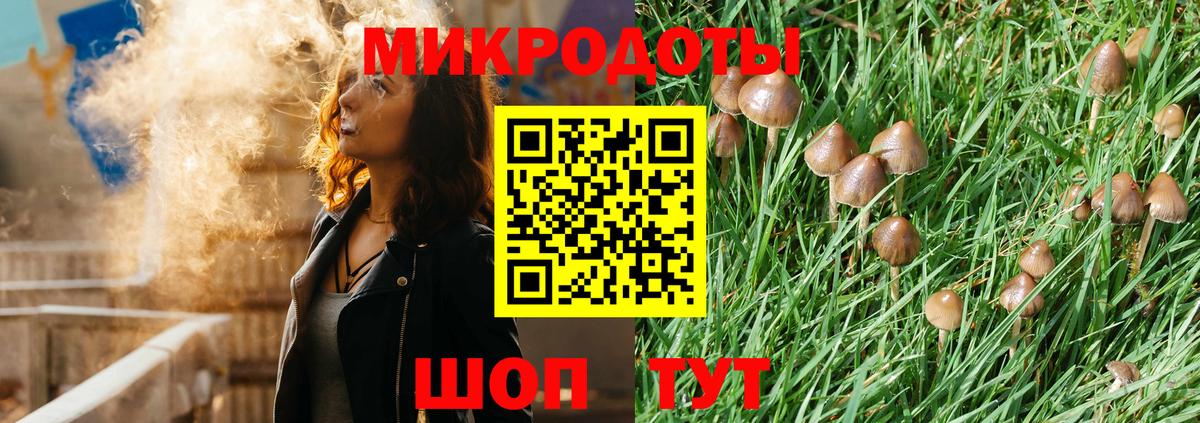 Белогорск  Псилоцибиновые грибы GOLDEN TEACHER  Псилоцибиновые грибы Cubensis  Вход с VPN 