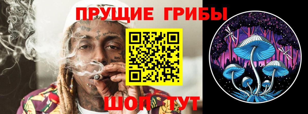 Псилоцибиновые грибы мухоморы  как найти   Белогорск  Псилоцибиновые грибы прущие грибы 